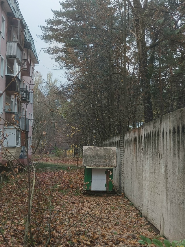 Пост крик души! Не ужели настолько необходим спил живы?...