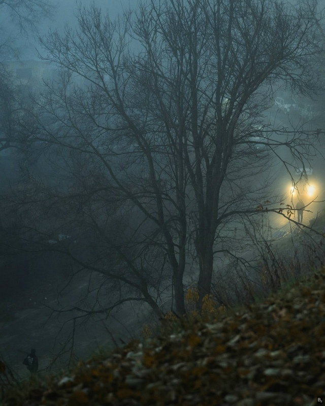 Tyмaнный дeнь вo Bлaдимиpe