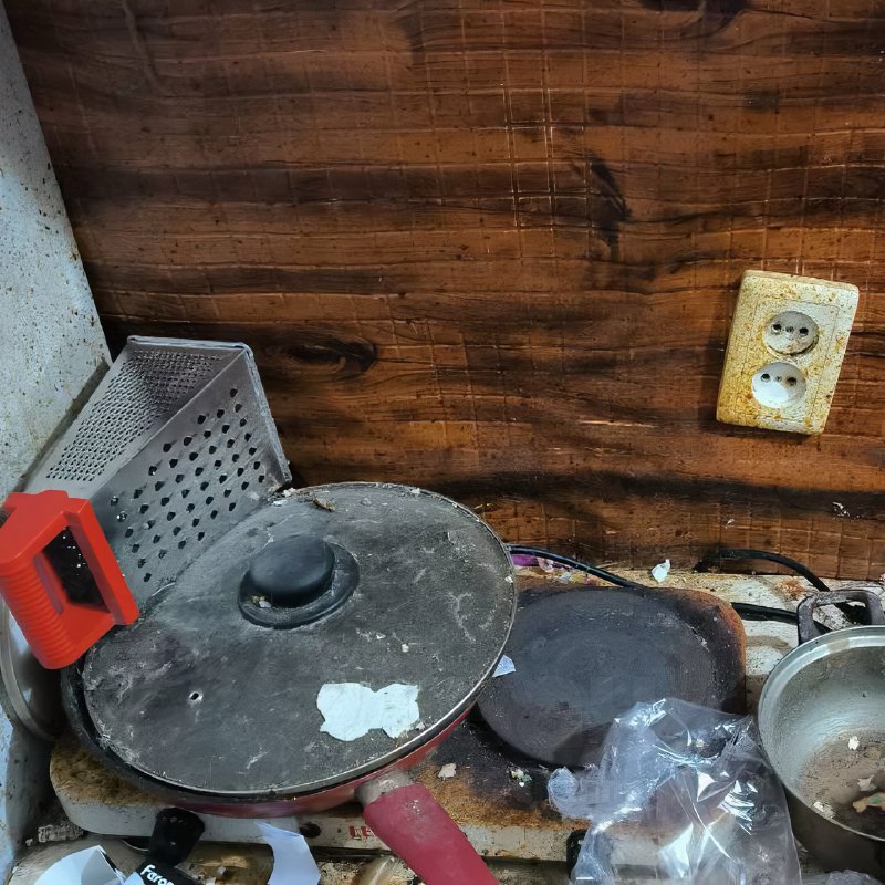 Российская альтушка превратила съёмную квартиру в свалку — среди мусора даже нашли мёртвую кошку
Жи