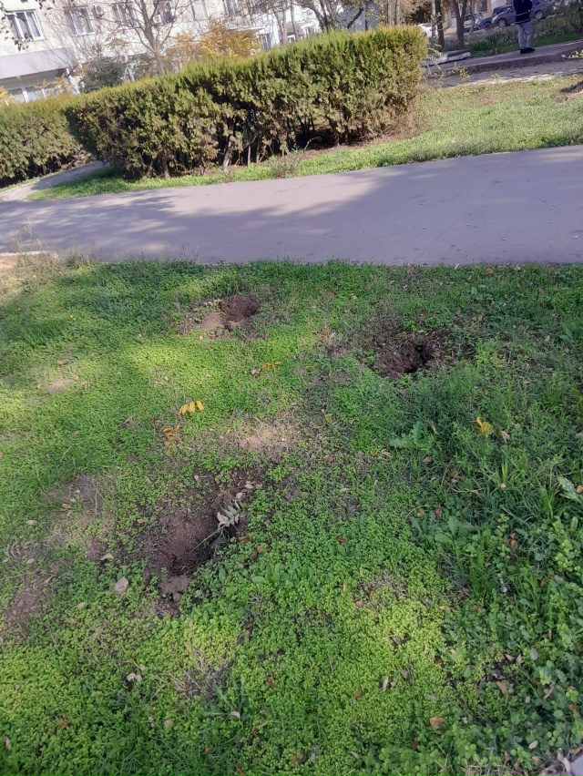 Продолжаем сезонные работы по озеленению Евпатории.
П...