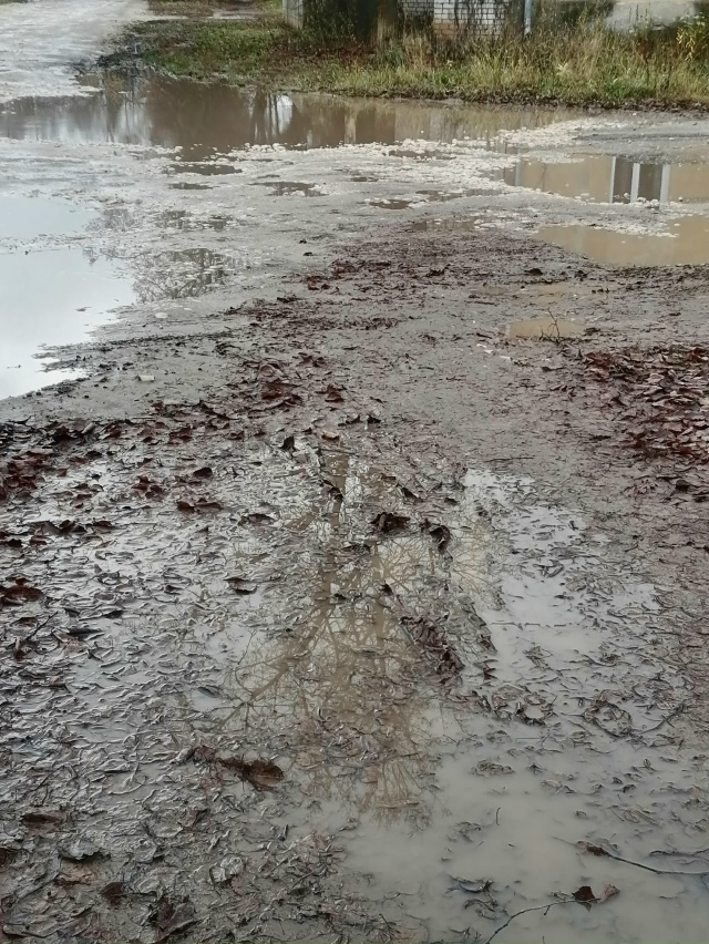 ⚡ Улица Летняя
Это наш тротуар. По нашей родной улице. ...