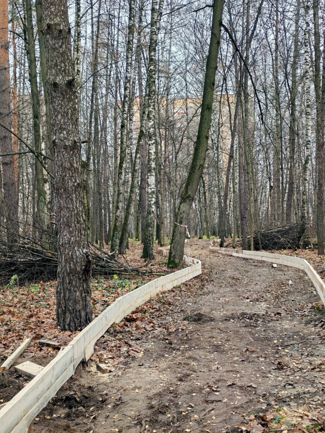 Вот, пожалуйста. Лес по улице Евстафьева решили заката?...