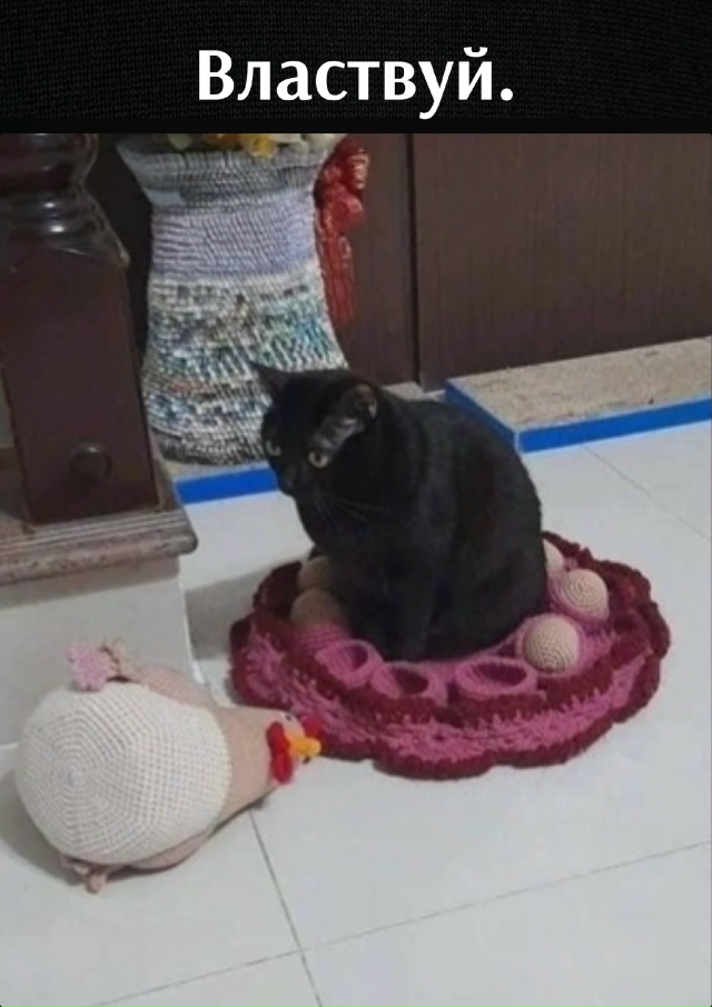 - Не так ты яйца высиживаешь! Вот как надо!😂