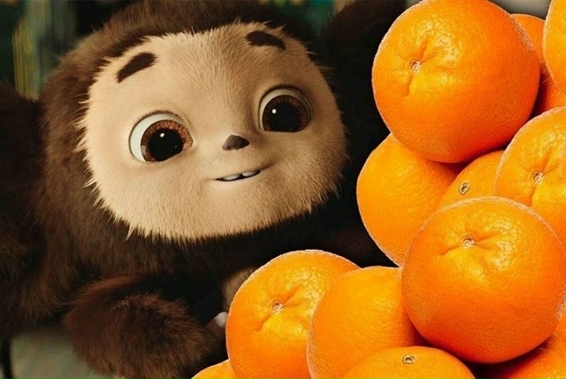 ⚡️В Госдуме заявили, что чебурашка — еврей.
Глава ко?...