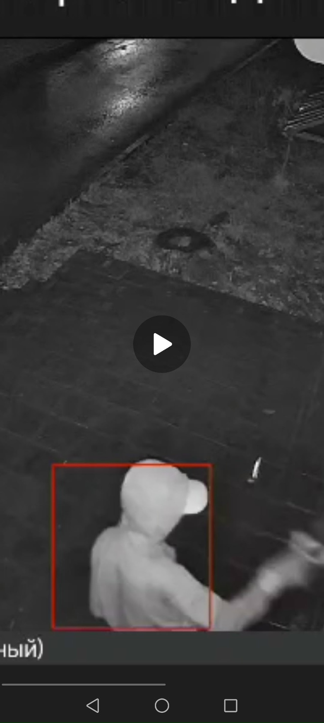 Молодёжь развлекается, разбивает вывески, ЯМ, Озон. Зая...