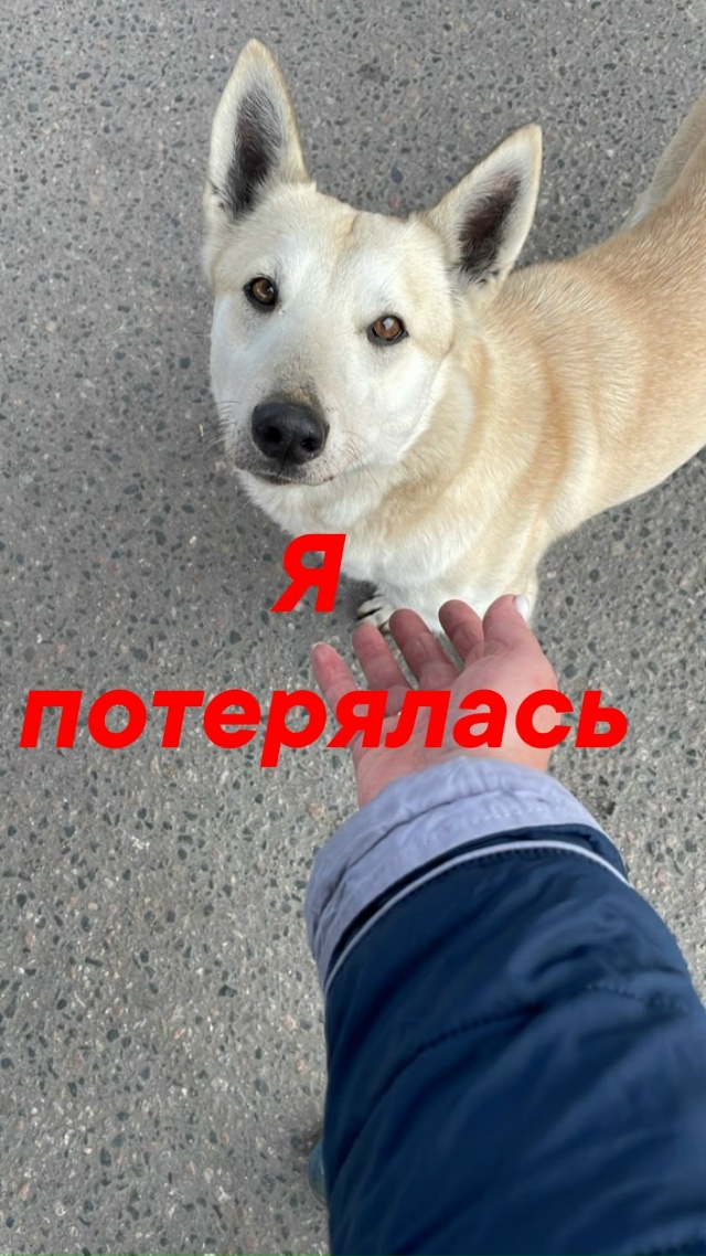 Пропустите, пожалуйста
🆘️🆘️🆘️🆘️🆘️🆘️🆘️🆘️?...