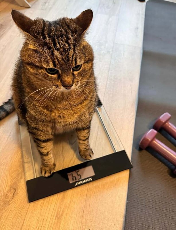 Трагедия в трёх актах