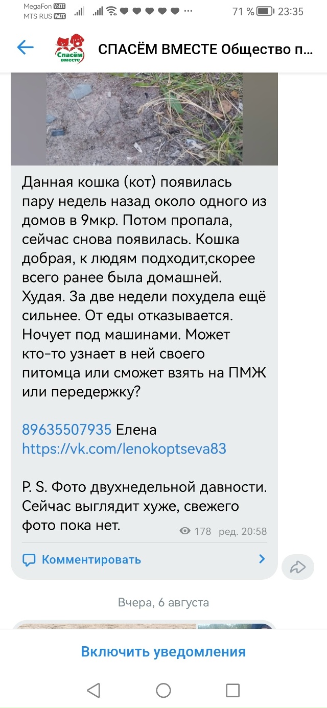 Помогаю информационно.
По данной кошке на днях был пос?...