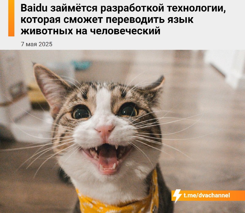 Скоро можно будет понимать кошек — китайская компания Baidu разрабатывает ИИ, который «переводит» ко