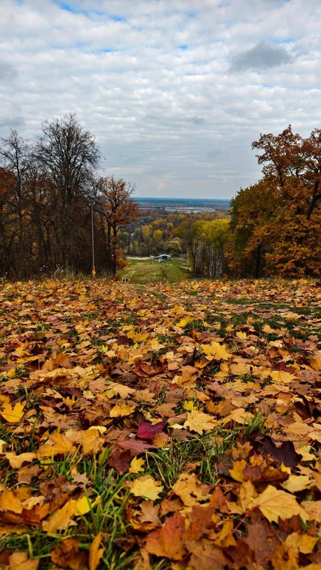 Чудесные осенние пейзажи нашей области