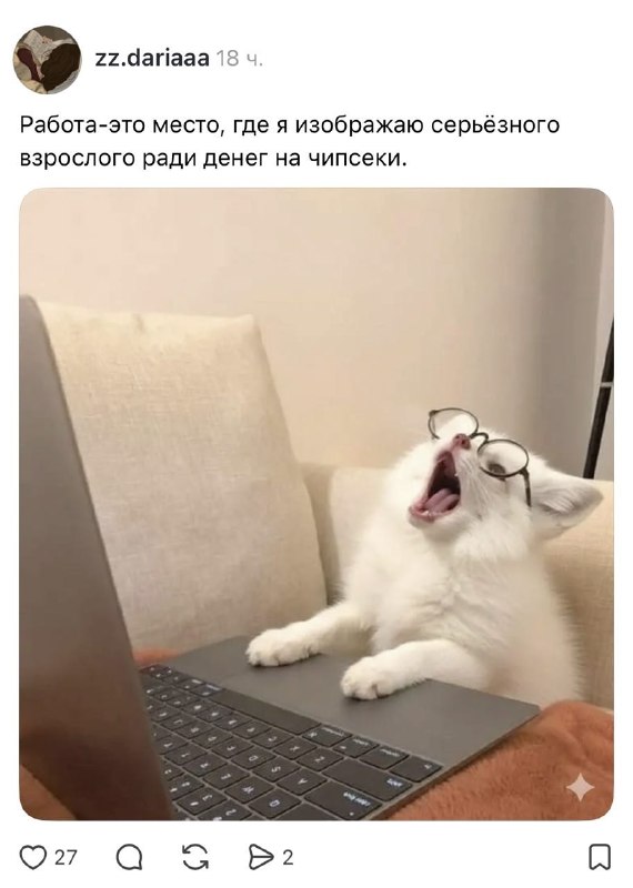 Все мы немного актрисы без Оскара 😁