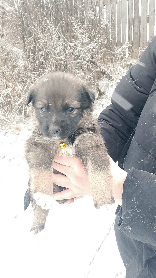 🆘️🆘️🆘️🆘️🆘️🆘️🆘
️Уважаемые жители нашего го?...