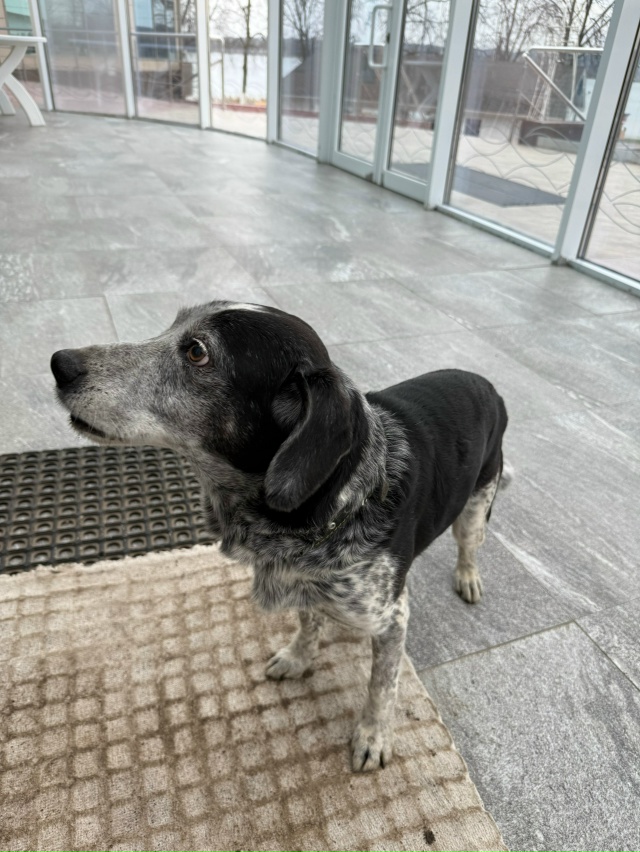 Чей малыш сидит в бригантине ??? Дрожит, видно что домаш?...