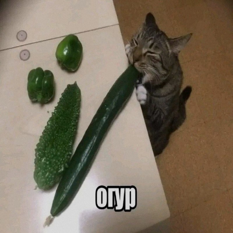 Ночная подборочка
Выходные, не спим