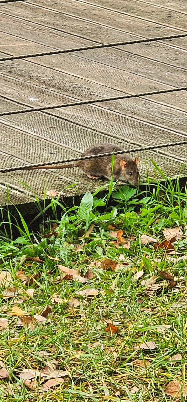 Осень в Балашихе😍