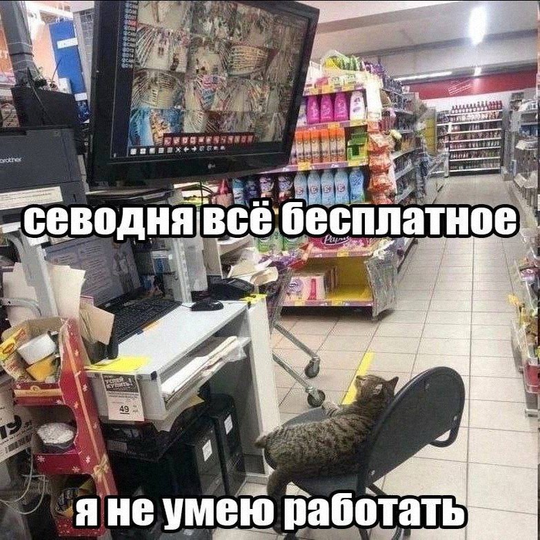Утренняя подборочка