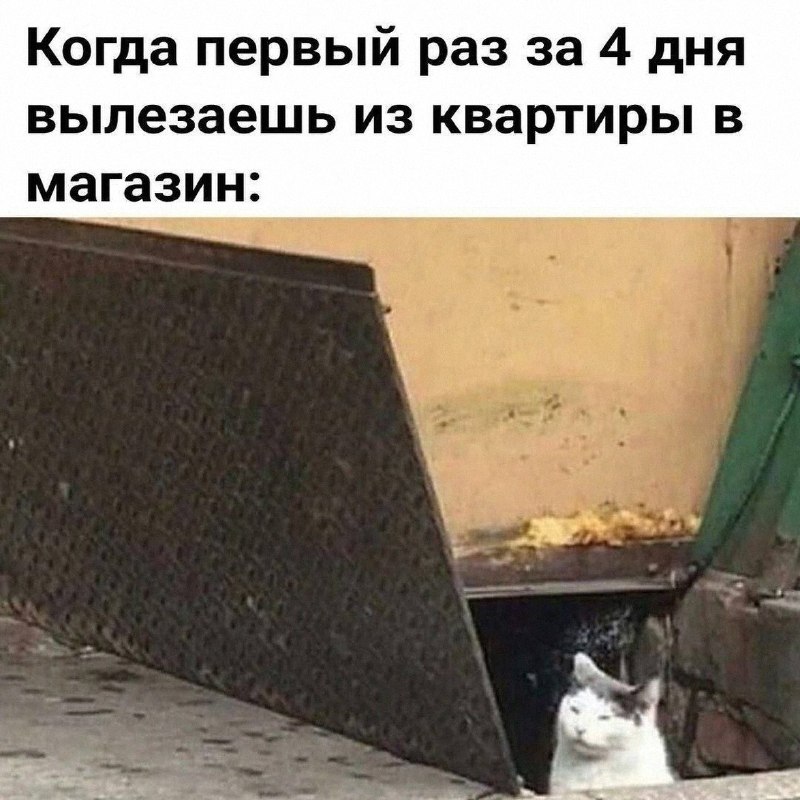 Утренняя подборочка