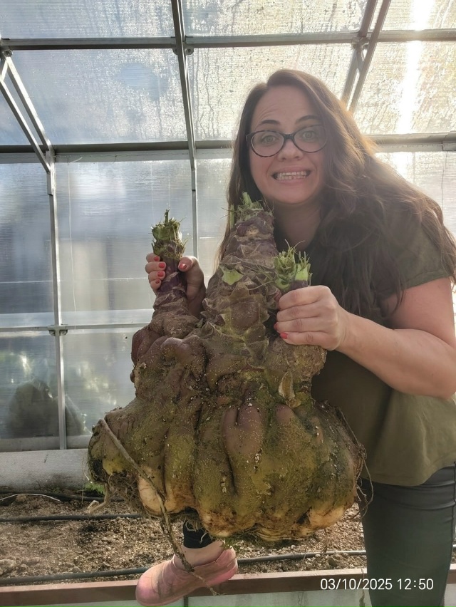 Жительница Рыбинска Ольга Догадаева, та самая, что уже ...