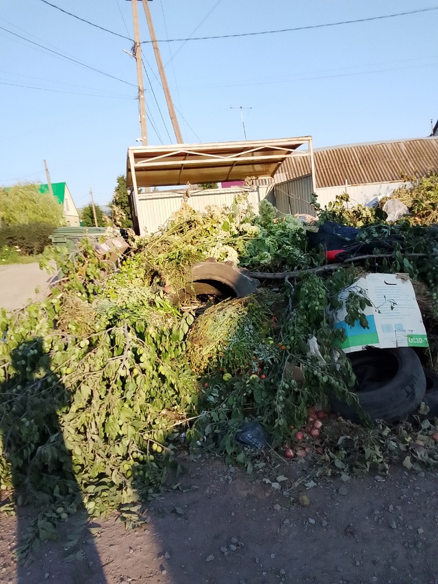 Здравствуйте уважаемая администрация города Бузулука...