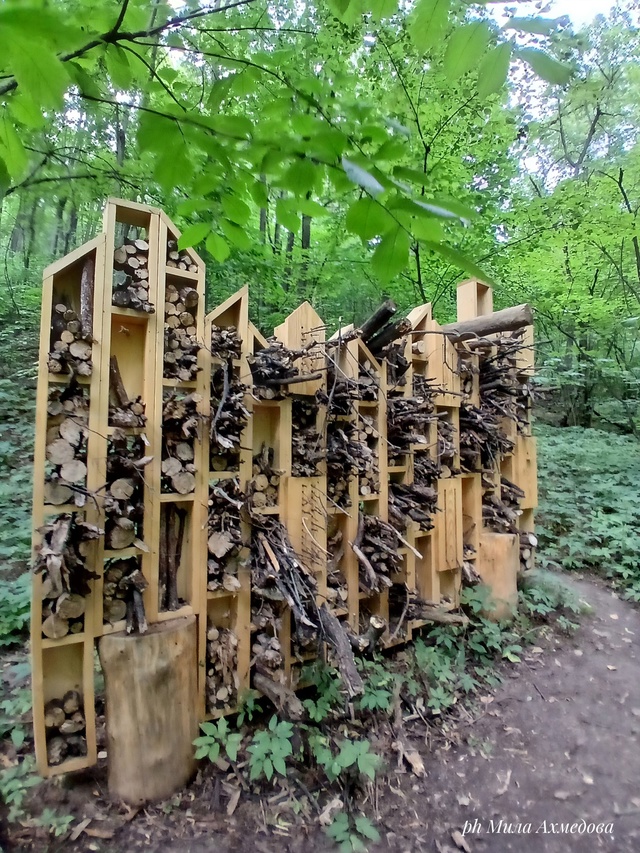 Урочище Каменная чаша. с. Солнечная поляна. Самарская о...