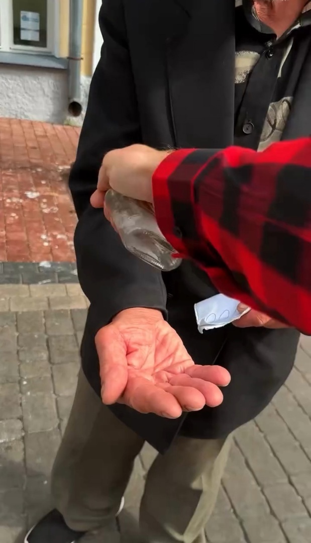 настоящий джинн