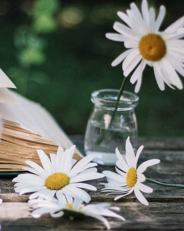 забудь все плохое.
начни с чистого листа.