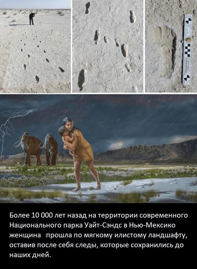 Есть основания полагать, что женщина несла на себе реб?...