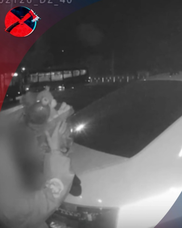 Пятилетний Вовка из Новокузнецка решил не следовать м?...