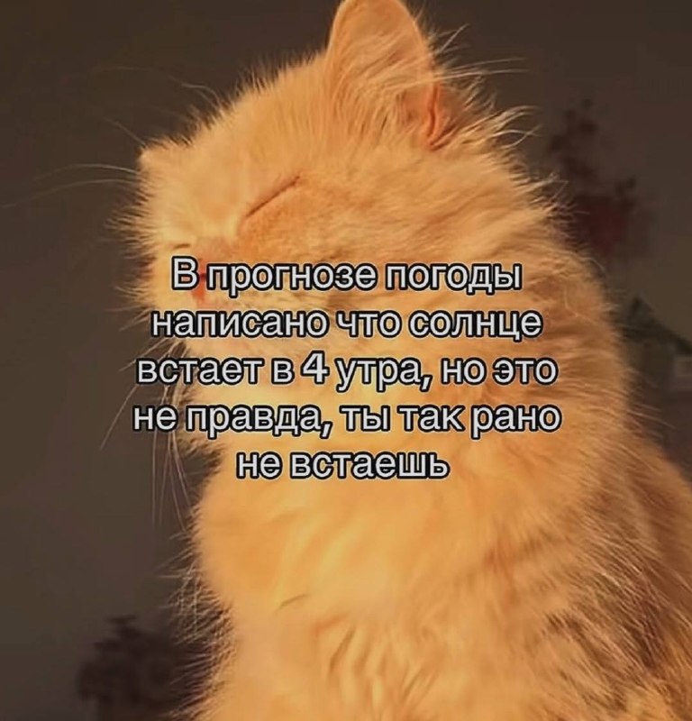 Перешли 😄