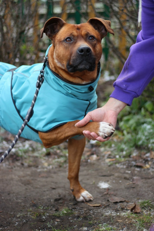 Серпухов, Протвино , Москва и вся Московская область.
С...