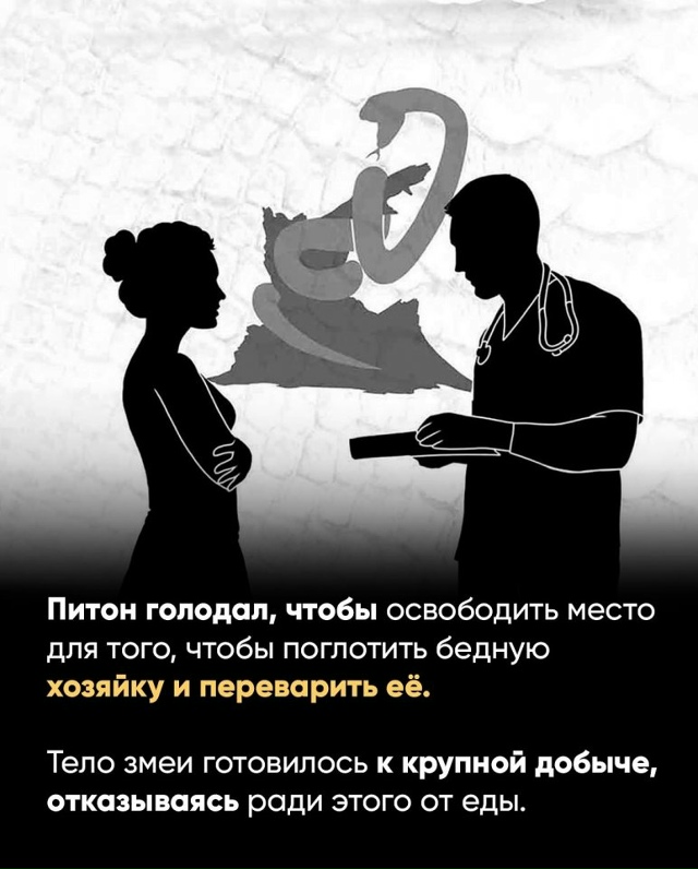 Удивительная история...