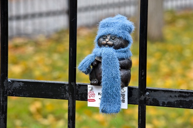 Сарапульские котики уже утеплились. А наши миниатюрки ...