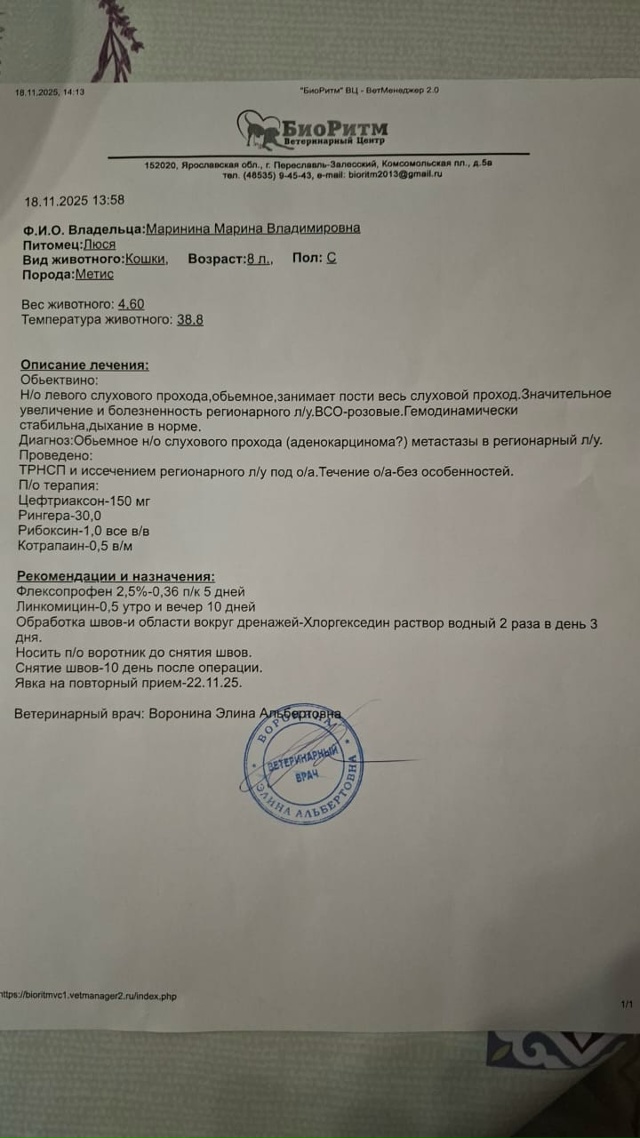 Друзья!
КАТАСТРОФИЧЕСКИ СРОЧНО!
Мы снова к вам с прось...