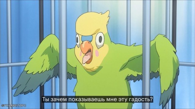 «Торадора» доступна на следующих платформах: Кинопоис...