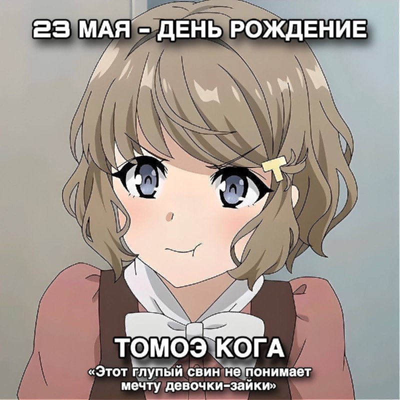 🎉23 мая - День рождения Томоэ Коги из аниме «Этот глупый свин не понимает мечту девочки-зайки».