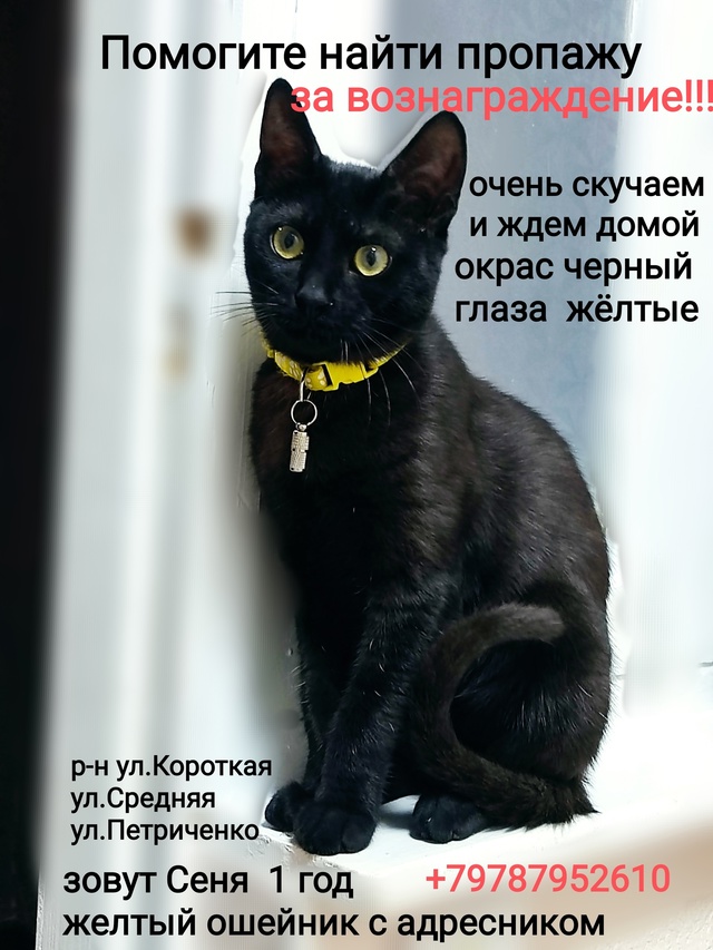 Помогите найти пропажу ?
Может кто-нибудь решил , что ?...