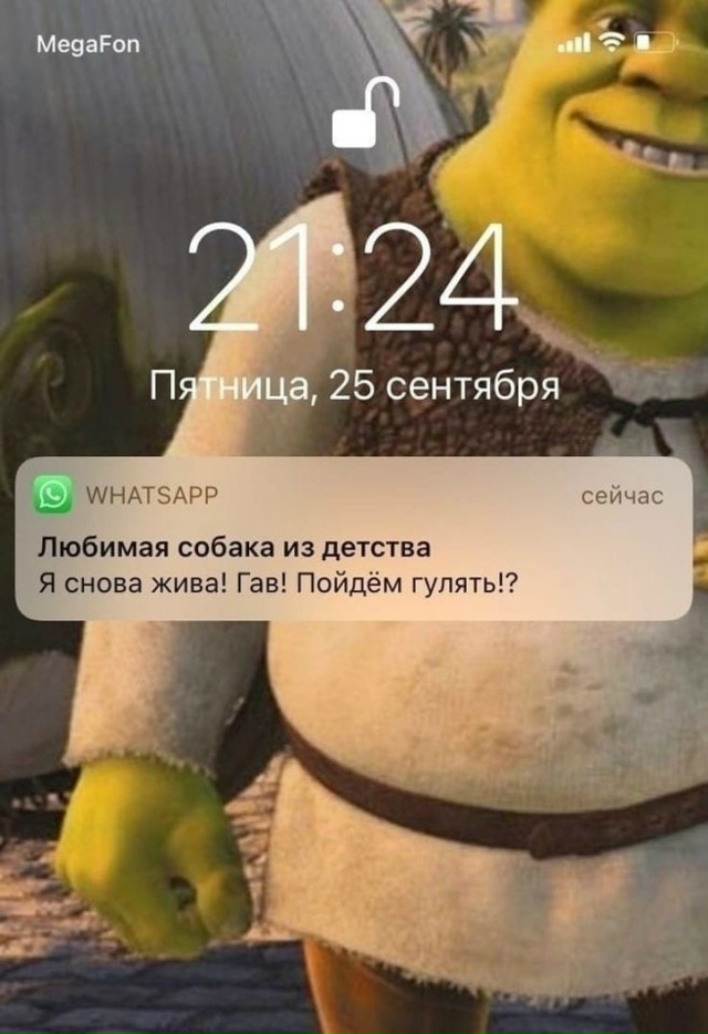 Такие сообщения я хочу получать😅