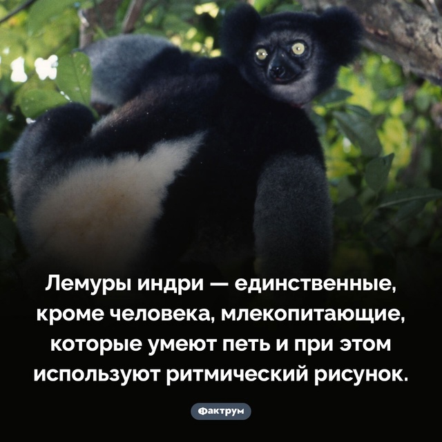 Подборка интересных фактов.