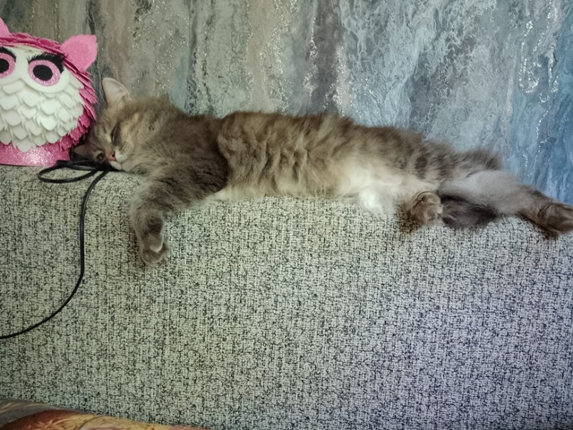 😺 Всем привет! На связи Маркиз Алексеич... Желаю вам вс?...