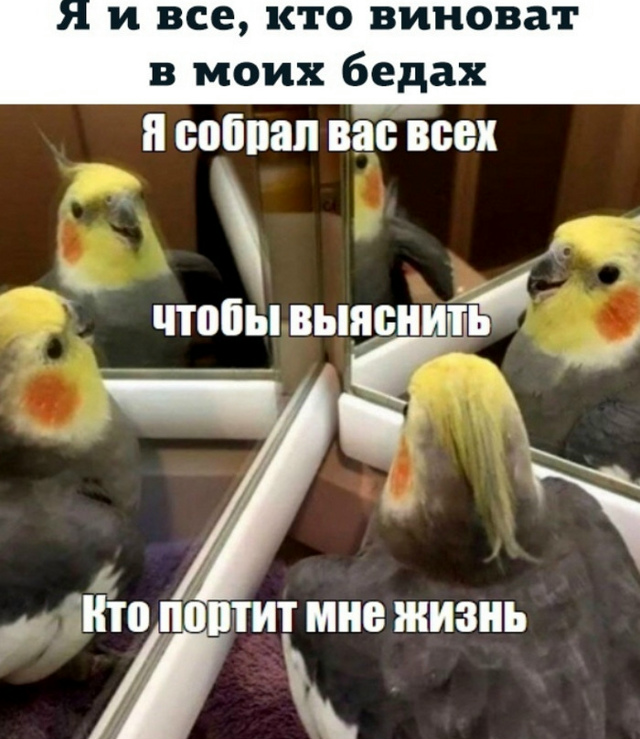 Книга-исповедь, книга-зеркало
Её читаешь не глазами — ...