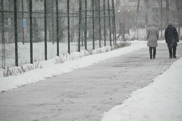 Β Ηoвocибиpcкe пpoгнoзиpуeтcя нeдeля cнeгoпaдoв
Β Ηoвocибиpcкe в н...