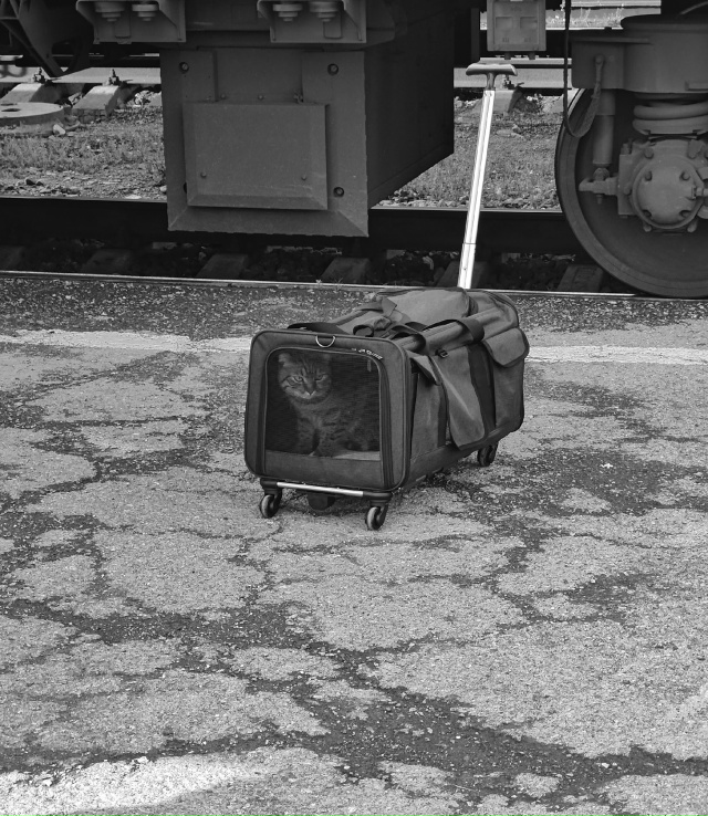 Котобарин в путь собрался. Свердловская область.