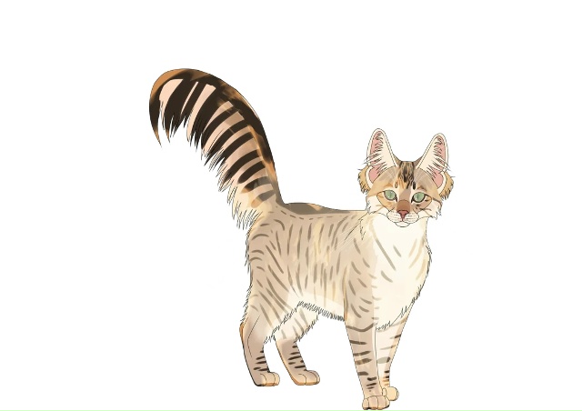 Летунья, Тучезвезд, Яролика, Ледошерстка, Медуница, Куд...