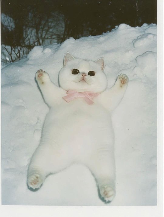 Можно смело выключать интернет — лучше этого сегодня ?...