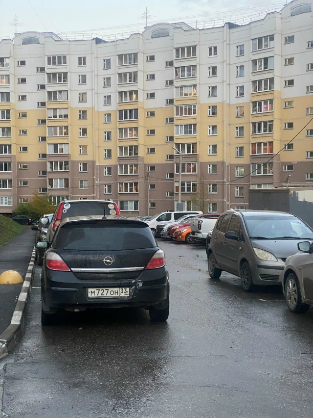 Чем руководствуются данные умственно-отстающие особи,...