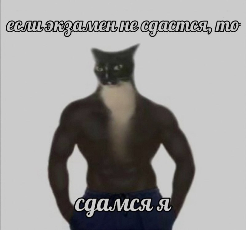 Ночная подборочка
Выходные, не спим