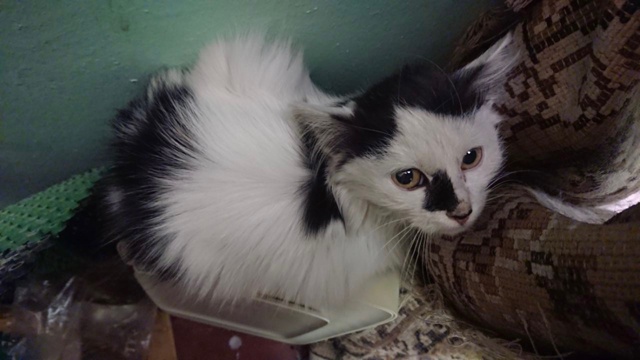 Всем добрый день!
Очень нужна ваша помощь. В нашем тамб?...