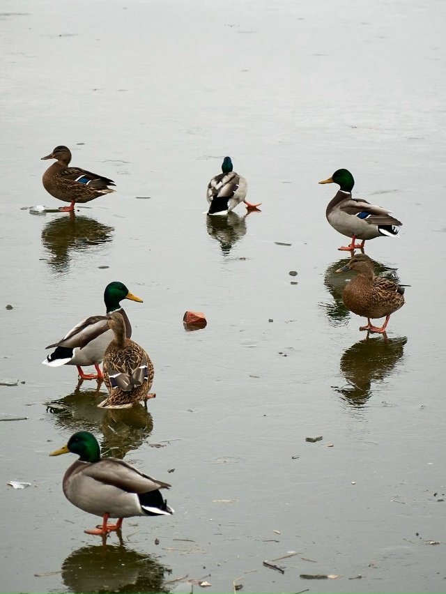 Ноябрь в Екатеринбурге🍂