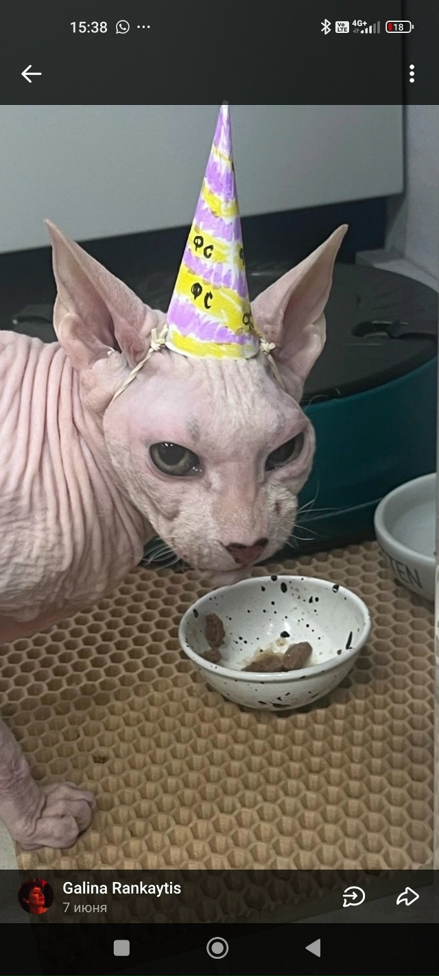 Филипп Сергеевич Э. В детстве был просто Феликсом, Феле...