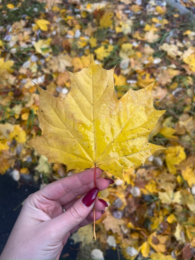 И еще немного поздней осени